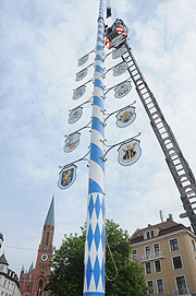 neuer Maibaum am Wiener Platz 2013 (Foto: Ingrid Grossmann)
